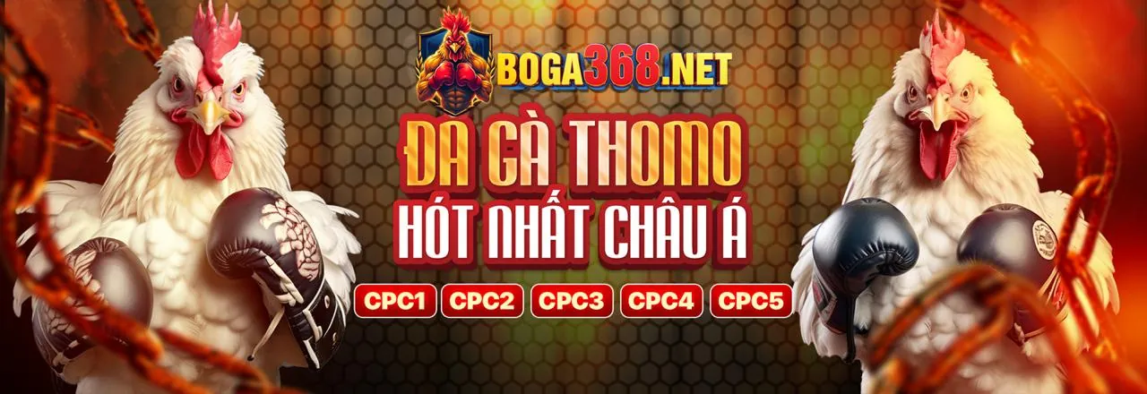 Đá gà trực tuyến kịch tính tại vvvwin khuyến mãi 2026